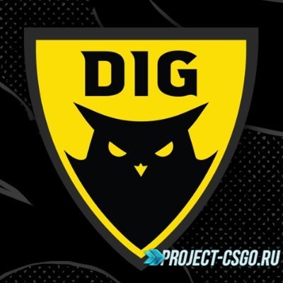 Новые игроки в составе Dignitas